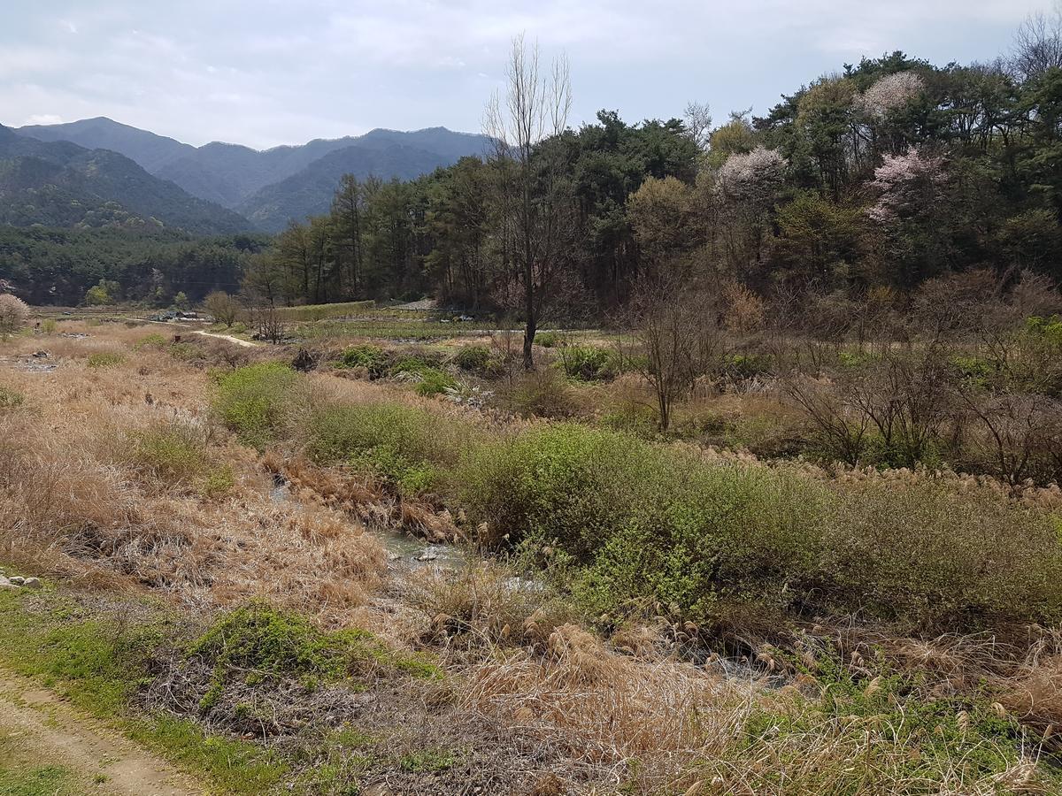 Namwon Hotel ภายนอก รูปภาพ
